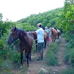 Arxontiko Mytilineou - Skretaion 4*