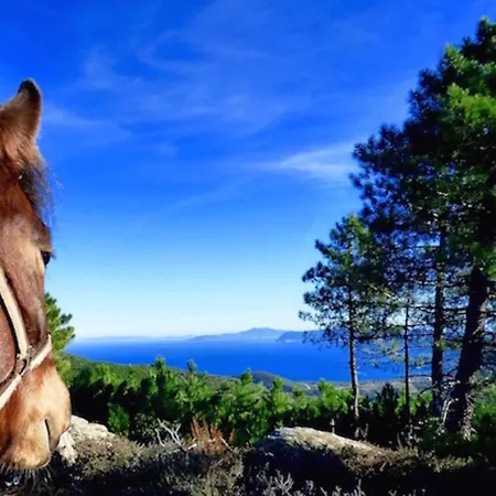 Arxontiko Mytilineou - Skretaion Bed & Breakfast