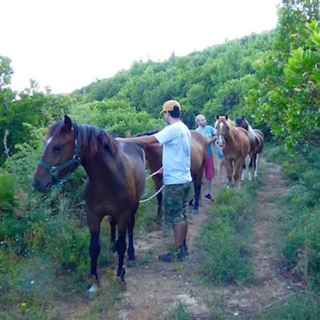 Arxontiko Mytilineou - Skretaion 4*