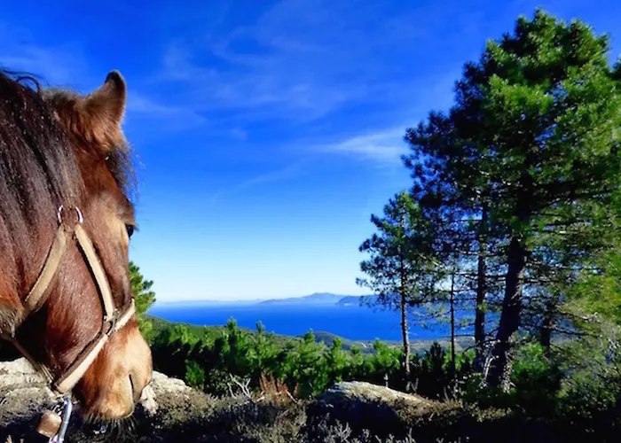 Arxontiko Mytilineou - Skretaion Bed and breakfast