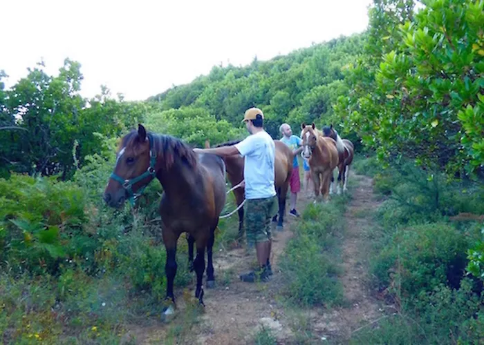 Arxontiko Mytilineou - Skretaion 4*