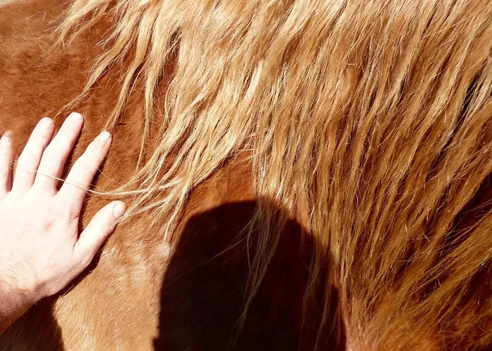 Arxontiko Mytilineou - Skretaion